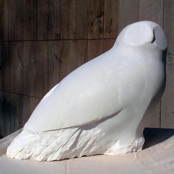 Snowy Owl by JC Dellenbaugh